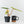 Philodendron billietiae variegated *Grower's Choice*