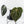 Anthurium DocBlock F2 x Carlablackiae by DocBlock® (wk28-F)