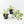 Ficus lyrata variegated fiddle leaf fig tree *Grower's Choice*
