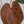 9041 Anthurium Thor’s Lightning ‘51’ x Red Crystal ‘12’