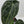4273 Anthurium Red Velvet Cake ‘24’ x Zara ‘29’